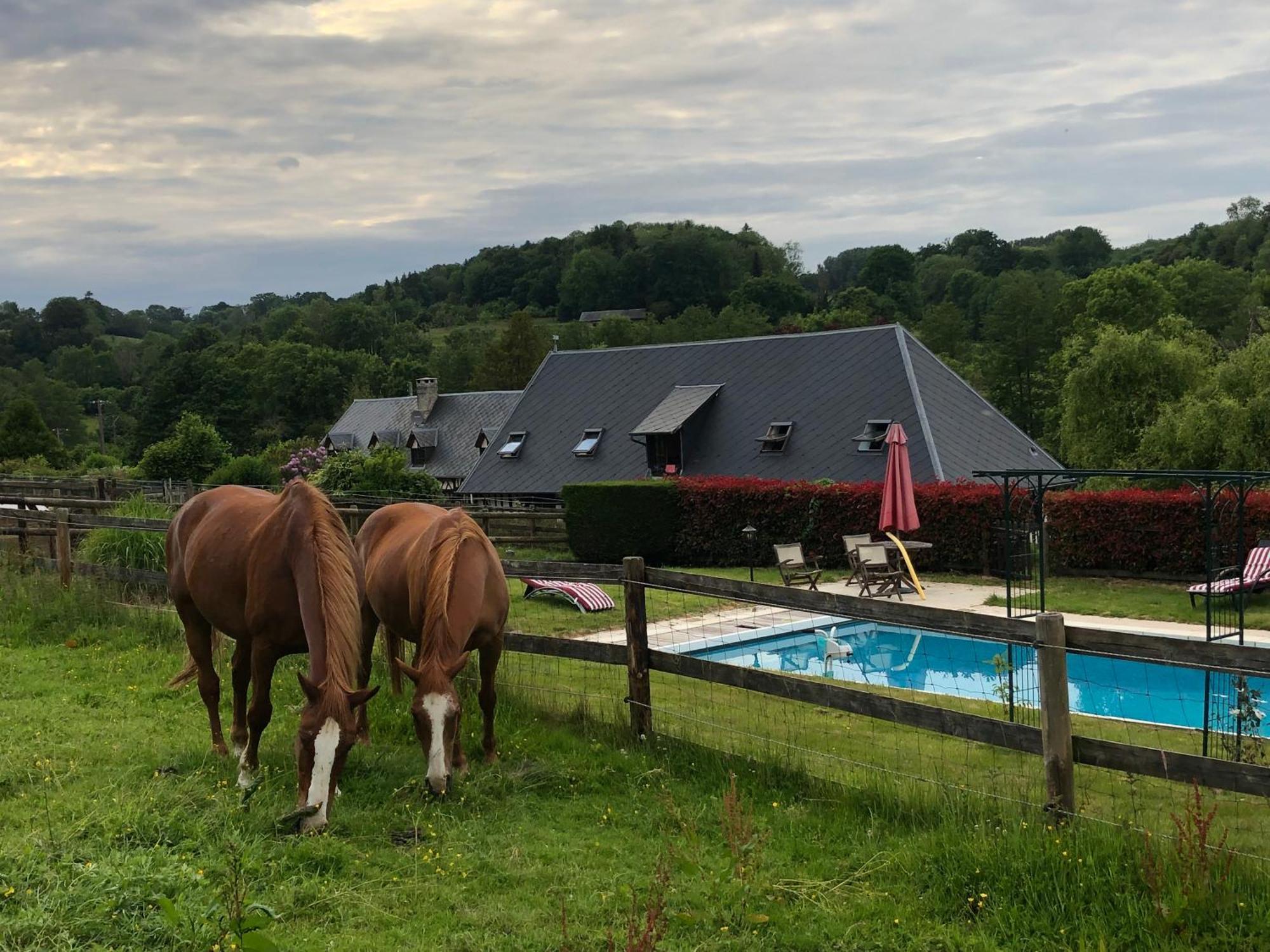 Bed and Breakfast Le Champ des Possibles à Manerbe Extérieur photo